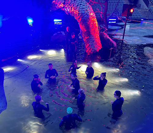 LIPA Dancers join Wired Aerial for international Opera Festival