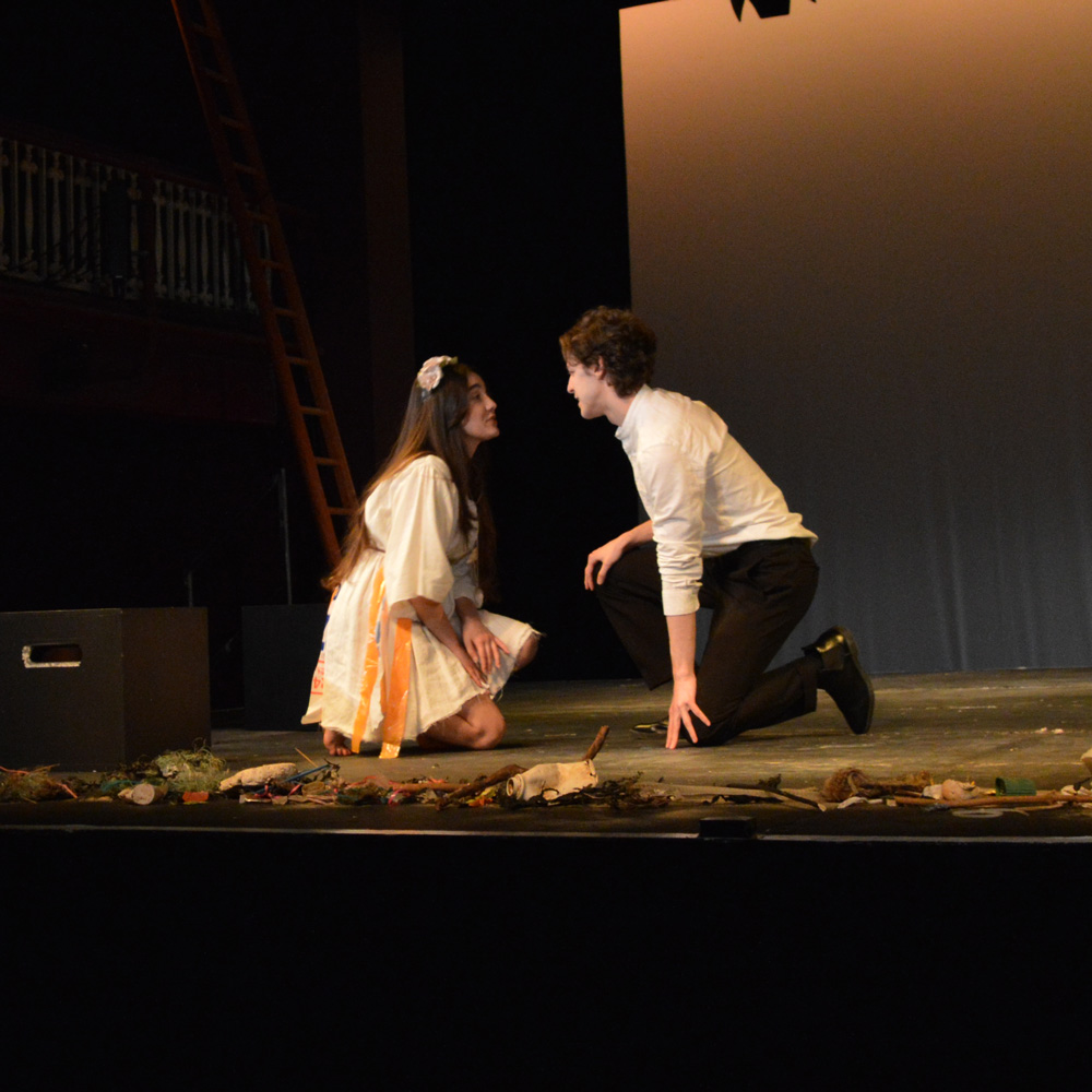 Foundation Acting (Stage & Screen)  Course Overview 